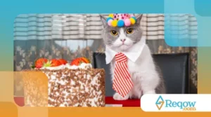 Como Organizar uma Festa de Aniversário para o Seu Gato
