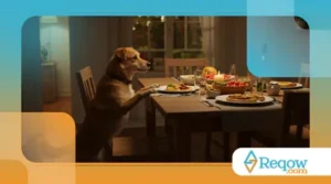 Como Ensinar o Seu Cachorro a Não Pegar Comida da Mesa