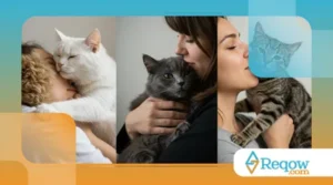 Como os Gatos Mostram Afeto pelos Donos?