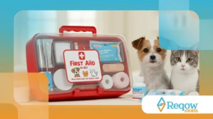 Como Montar um Kit de Primeiros Socorros para o Seu Pet