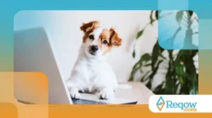 Raças de Cachorros Mais Inteligentes: Será Que Seu Pet Está na Lista?