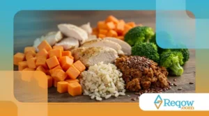 Como Montar uma Dieta Caseira Saudável para o Seu Cachorro