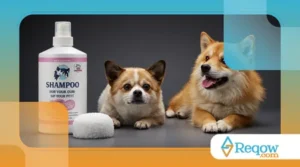 Como escolher o melhor shampoo para seu pet