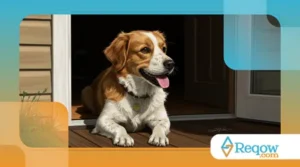 Como os Cachorros Percebem o Tempo? Descubra Aqui!