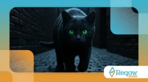 Como os Gatos Enxergam no Escuro? Descubra!