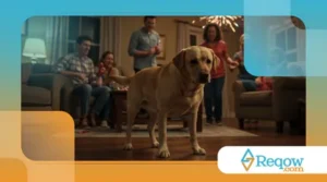 Por que os Cachorros Têm Medo de Fogos de Artifício?
