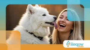 Por que os cachorros lambem os donos? Entenda o motivo!