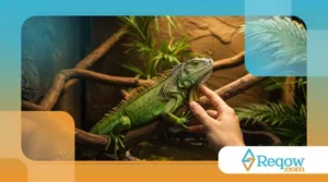 Ter Um Réptil Como Pet: O Que Você Precisa Saber Antes de Comprar Um