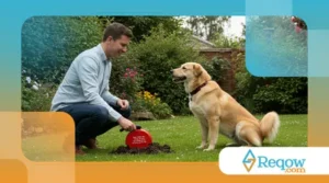 Como Ensinar o Seu Cachorro a Não Cavar o Jardim