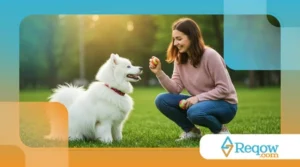 Como Ensinar Seu Cachorro a Lidar com a Frustração: O Comando Mais Negligenciado no Adestramento
