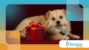 Como escolher o melhor presente para o seu pet