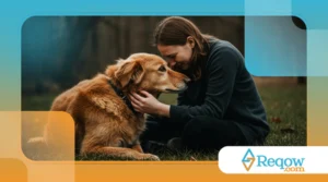 Dicas para melhorar o vínculo emocional entre você e seu animal de estimação