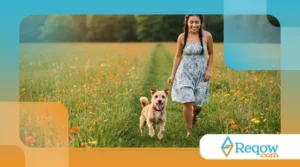 Seu Pet Mais Feliz e Saudável: 7 Segredos Que Veterinários Querem Que Você Saiba!