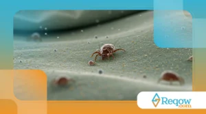 Como evitar o acúmulo de ácaros e fungos em camas e cobertores dos pets