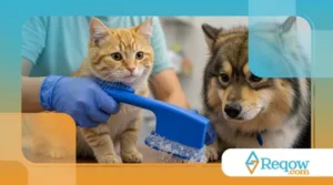 O que nunca usar na limpeza de pets e acessórios (e que muita gente ainda usa)