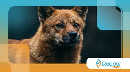 Check-up caseiro: 7 sinais silenciosos de que algo não vai bem com seu pet