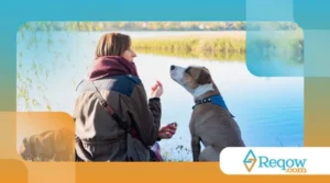 Cães conseguem identificar pessoas boas e más só pelo cheiro? Estudos indicam que sim