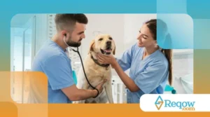 visitas ao veterinário