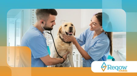 Pets e visitas ao veterinário: como preparar seu animal e diminuir o estresse