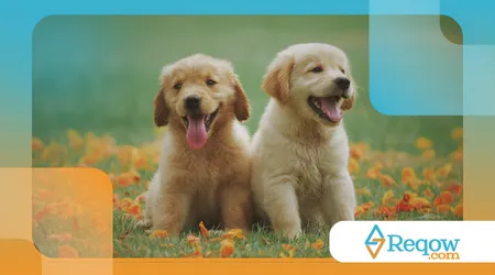 O que significa quando o cão abana o rabo para a esquerda