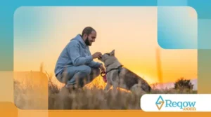 Sinais sutis de dor em cães que os tutores costumam ignorar