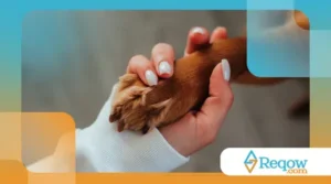 Maneiras de estimular mentalmente o seu cachorro