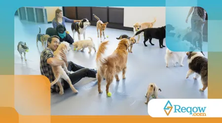 Dicas para escolher a creche canina ideal