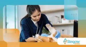 Importância do check-up veterinário anual