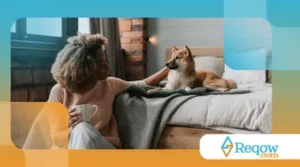 Cuidados para evitar intoxicações domésticas