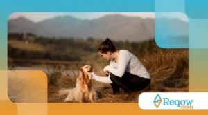 cuidar da saúde emocional do tutor