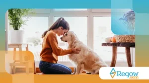 quando o cão marca território dentro de casa