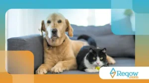 reduzir a agressividade causada por medo