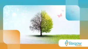 Como adaptar o cão a mudanças sazonais com suavidade