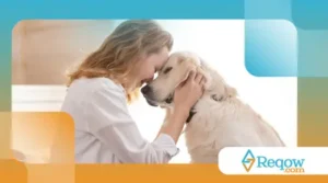 manterem o cão equilibrado em casas agitadas