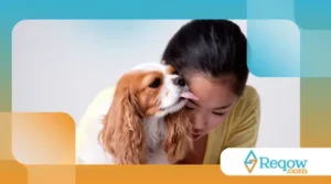 cães que insistem em lamber as pessoas