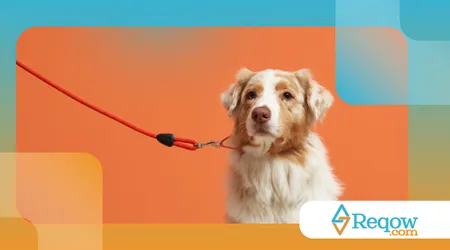 O que sensores e wearables dizem sobre saúde e bem-estar do cão