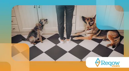 Dicas para tutores de cães lidarem com energia acumulada