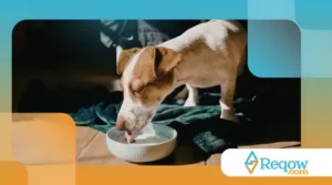 uma rotina mais organizada